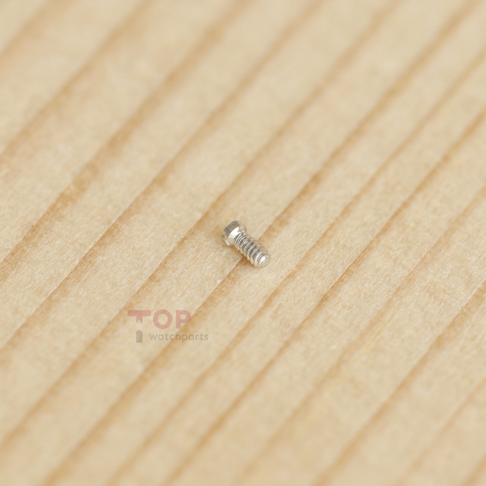 Watch 3135 Movement Screw for Dial Caliber Part 5013