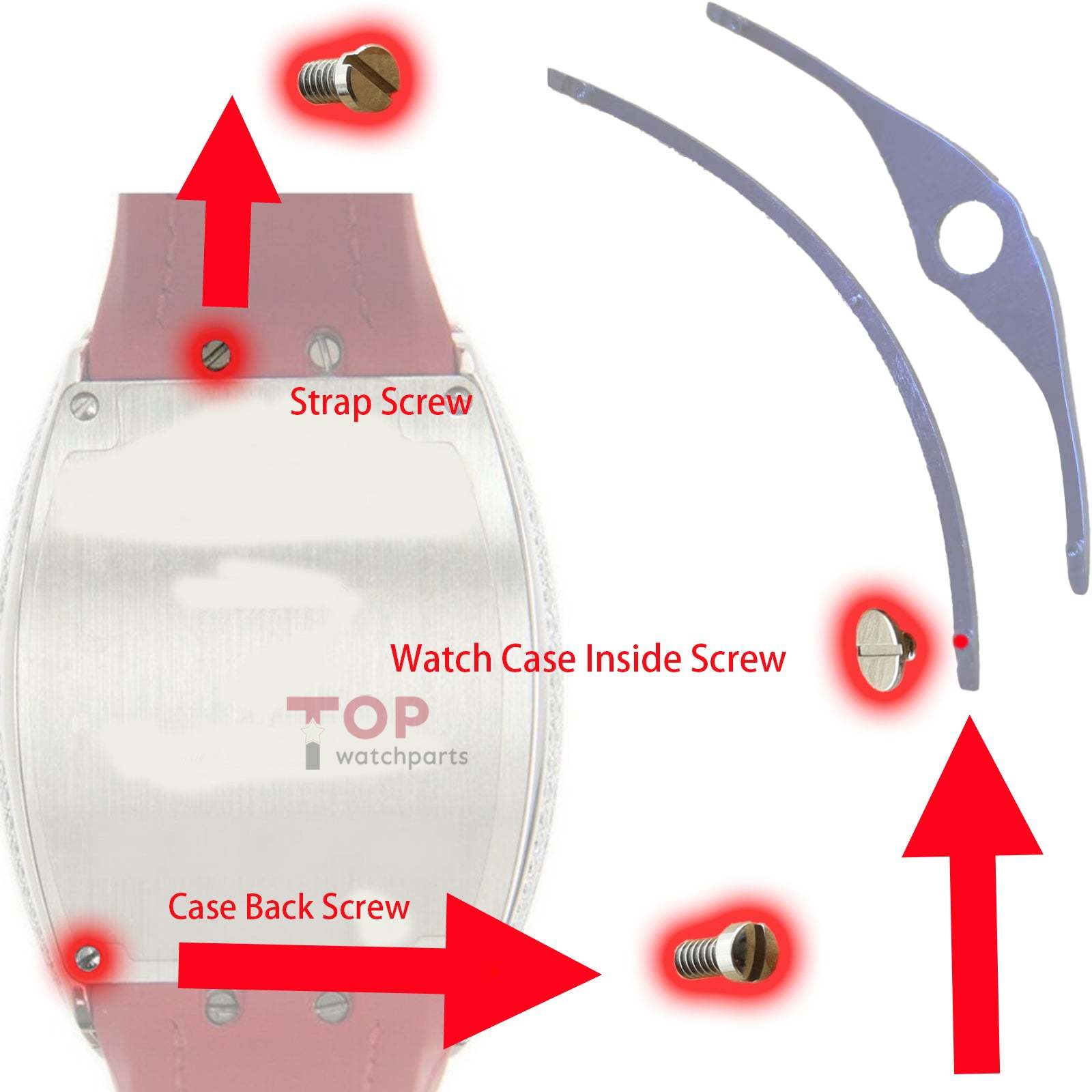 Watch Screw for Franck Muller FM V32 Vanguard Lady Watch Case Inside/Strap/Band/Case Back Cover