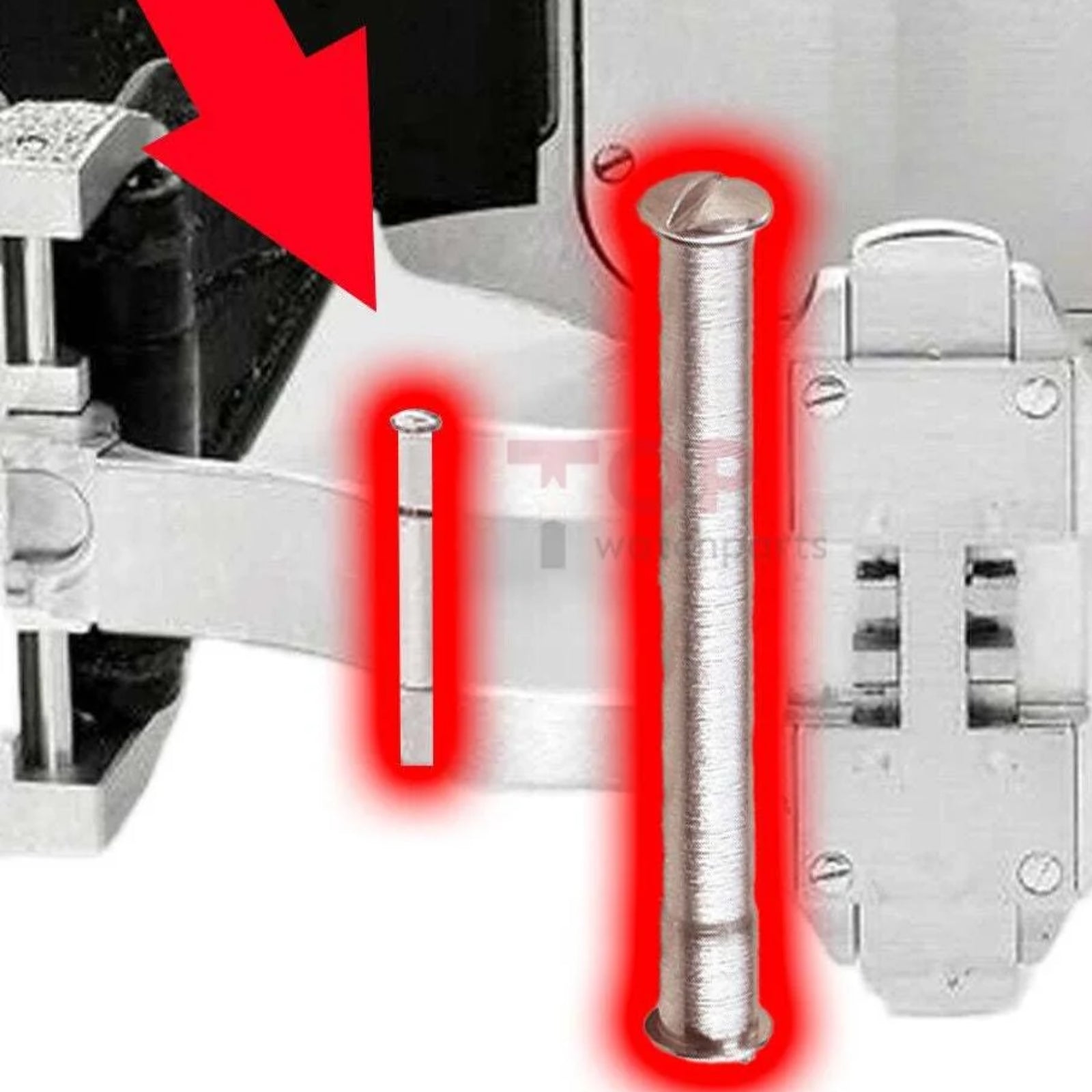 Watch Strap Buck Clasp Screw Pin for Cartier Santos 100 Leather Band Bar Tube