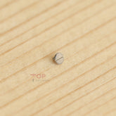 Watch Movement Screw for Rolex 3135/3130/3136 Date Wheel Caliber Part 5625