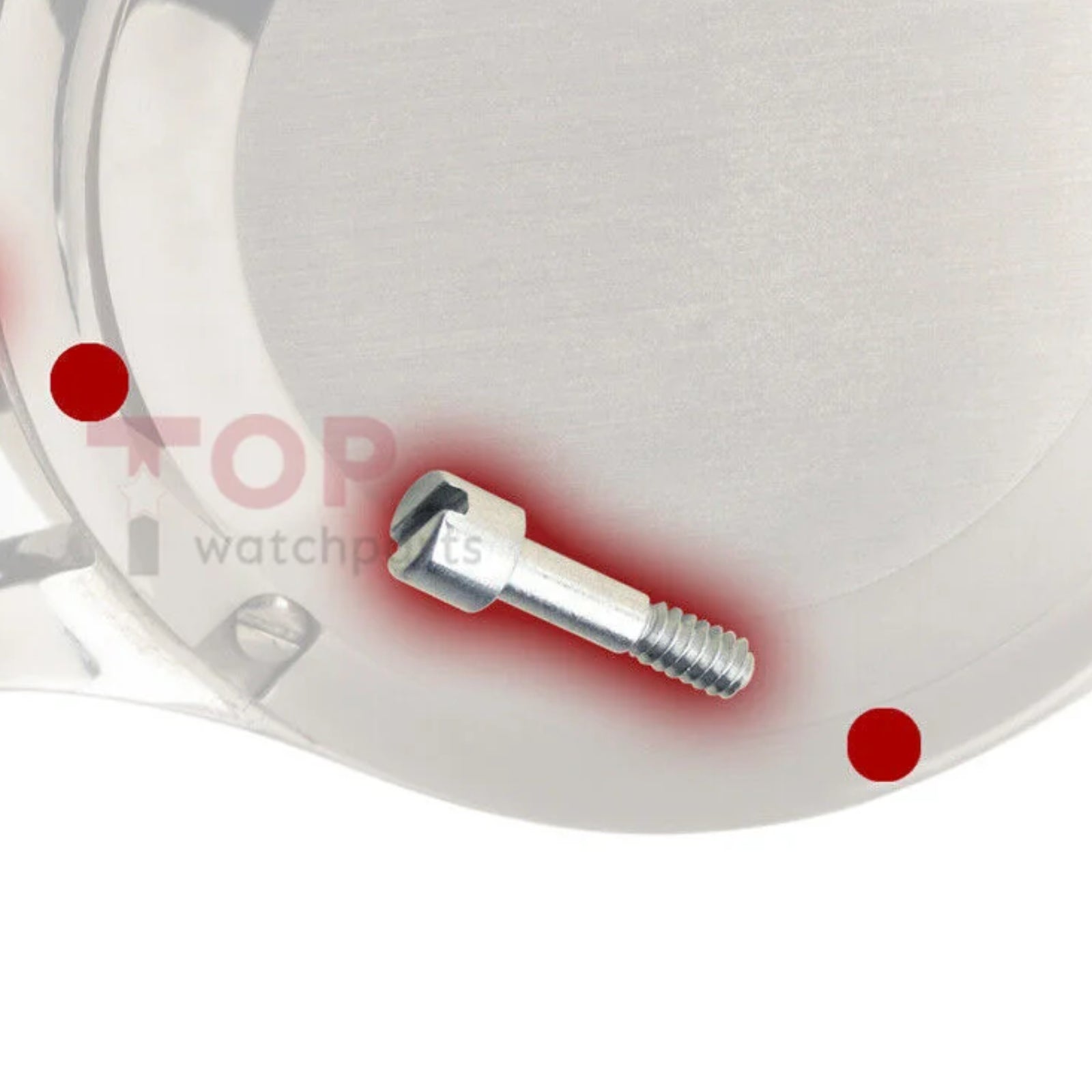 Watch Screw for IWC Portugieser IW3714 Case Back&Case Middle