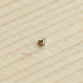 Watch 3135-5115 Screw for Rolex 3135/3130/3136 Bridge/Click/Setting Lever Spring Calier Part