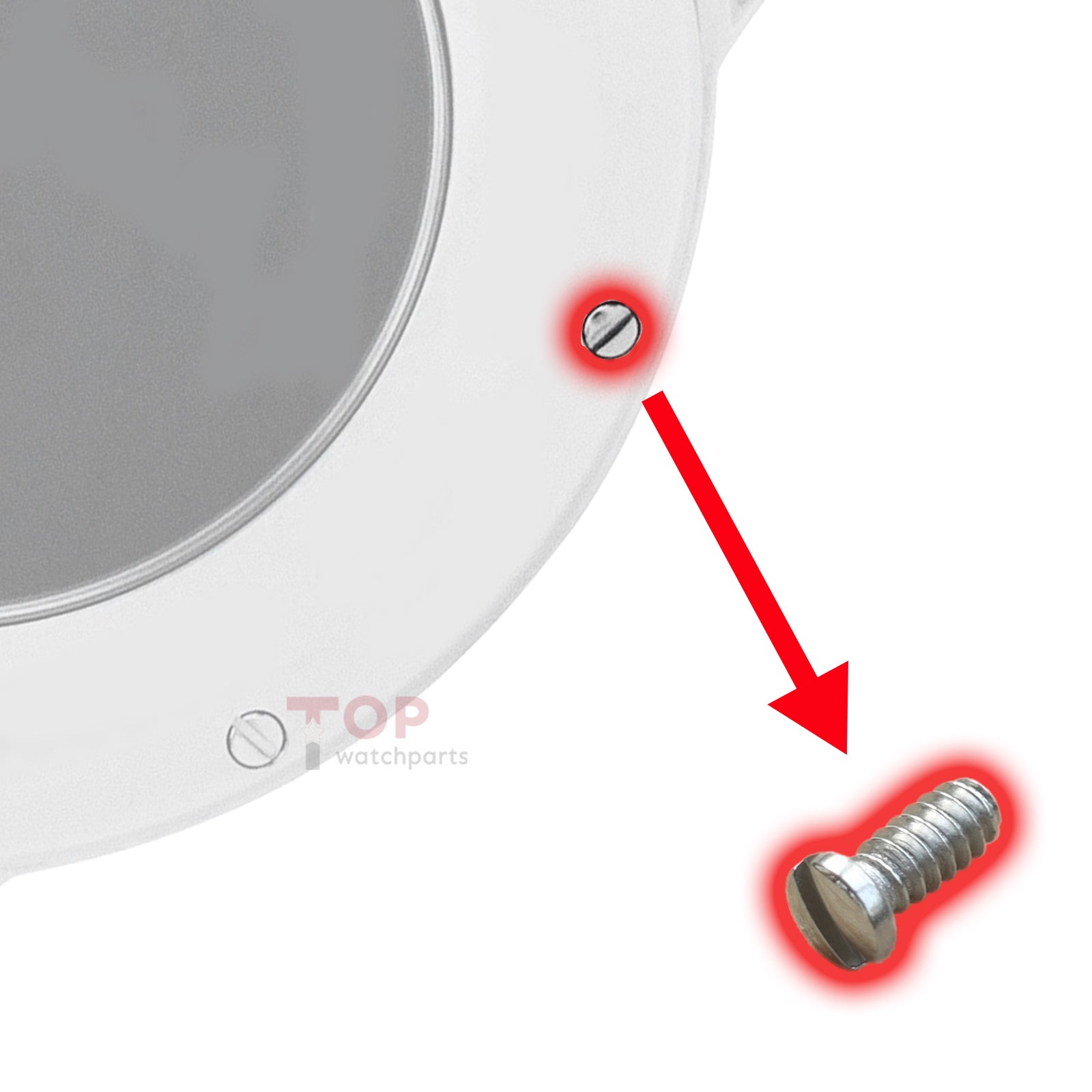 Watch Case Back Screw for Chopard 168543 Mille Miglia Jacky Ickx Edition V Chronograph 42.4mm Watch