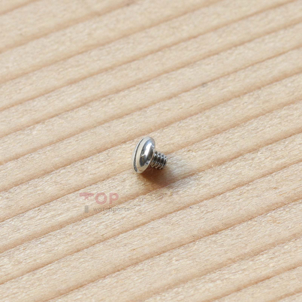 Watch Strap Screw for Franck Muller FM 6002/950/952/902 Watch Band