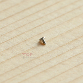 Watch 3135-5115 Screw for Rolex 3135/3130/3136 Bridge/Click/Setting Lever Spring Calier Part