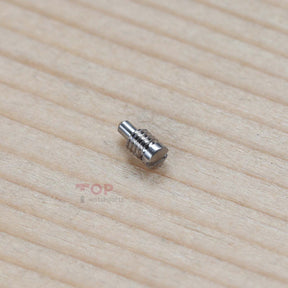 18K Rose Gold/White Gold Case Screw for Patek Philippe Nautilus PP 5980 40.5mm Watch