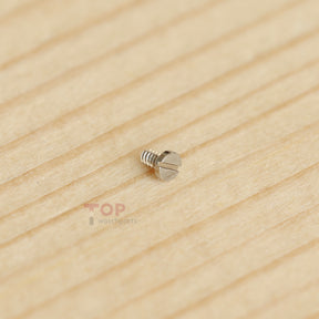 Watch 3135-5110 Screw for Rolex 3135/3130/3136 Movement Balance Guard/Balance Bridge/Winding Bridge/Automatic Device Lower/Upper Bridge