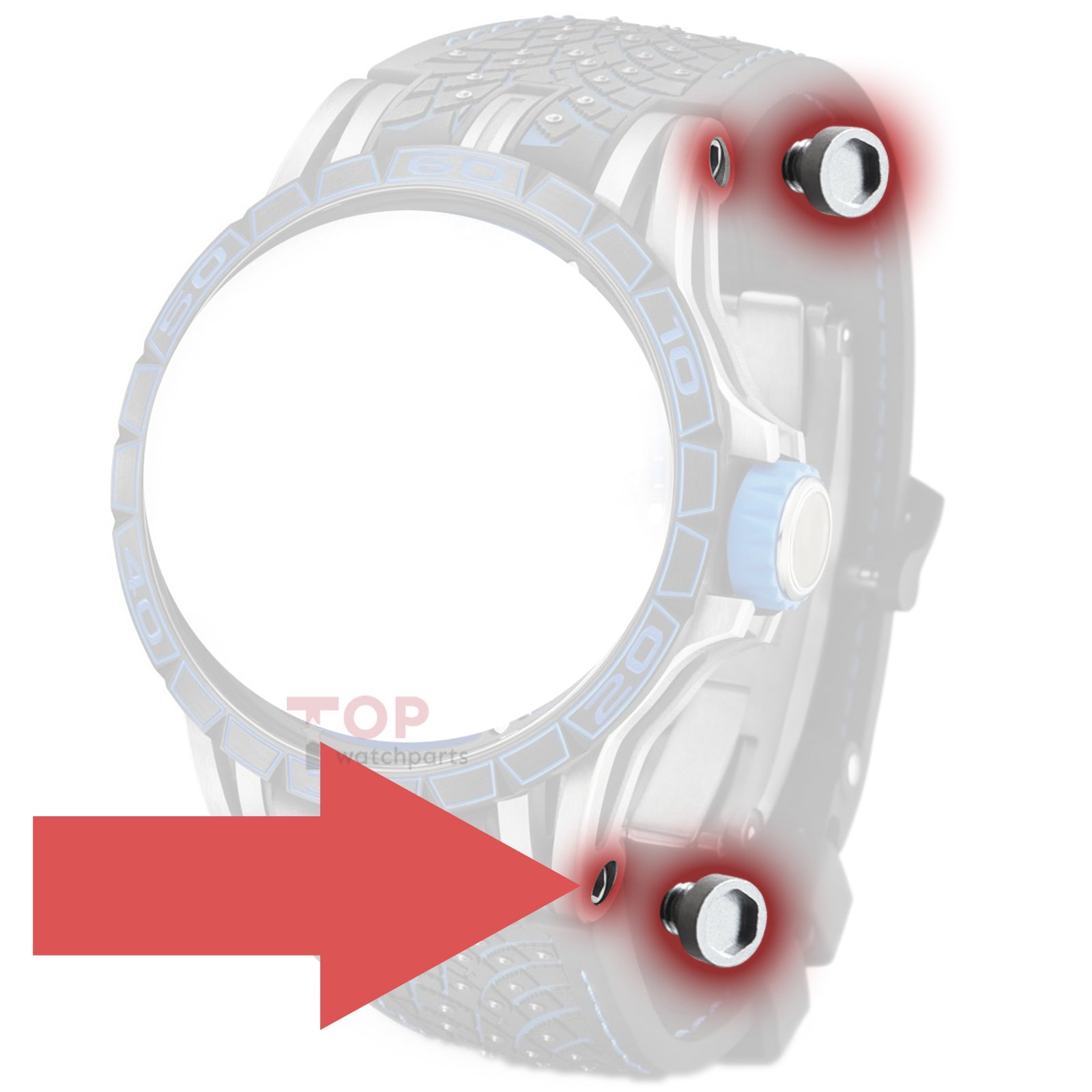 ear tube screw for Roger Dubuis Excalibur 45mm manual watch