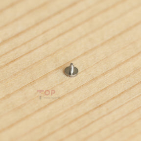 Watch Movement Screw for Rolex 3135/3130/3136 Date Wheel Caliber Part 5625