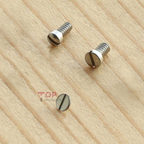 Watch Screw for Franck Muller FM V32 Vanguard Lady Watch Case Inside/Strap/Band/Case Back Cover