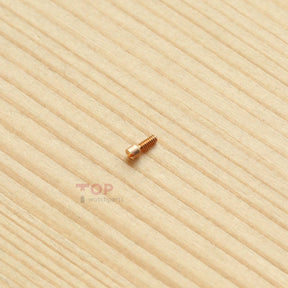 Watch Case Back Screw for Franck Muller Cintrée Curvex FM 8880 6850 6000 Watch Back cover