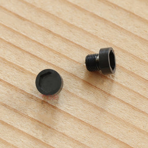 ear tube screw for Roger Dubuis Excalibur 45mm manual watch