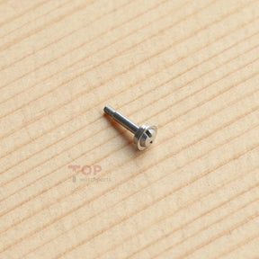 Watch Screw for Hublot 701 715 King Power 48mm Watch Bezel/Case Back/Strap/Crown Side