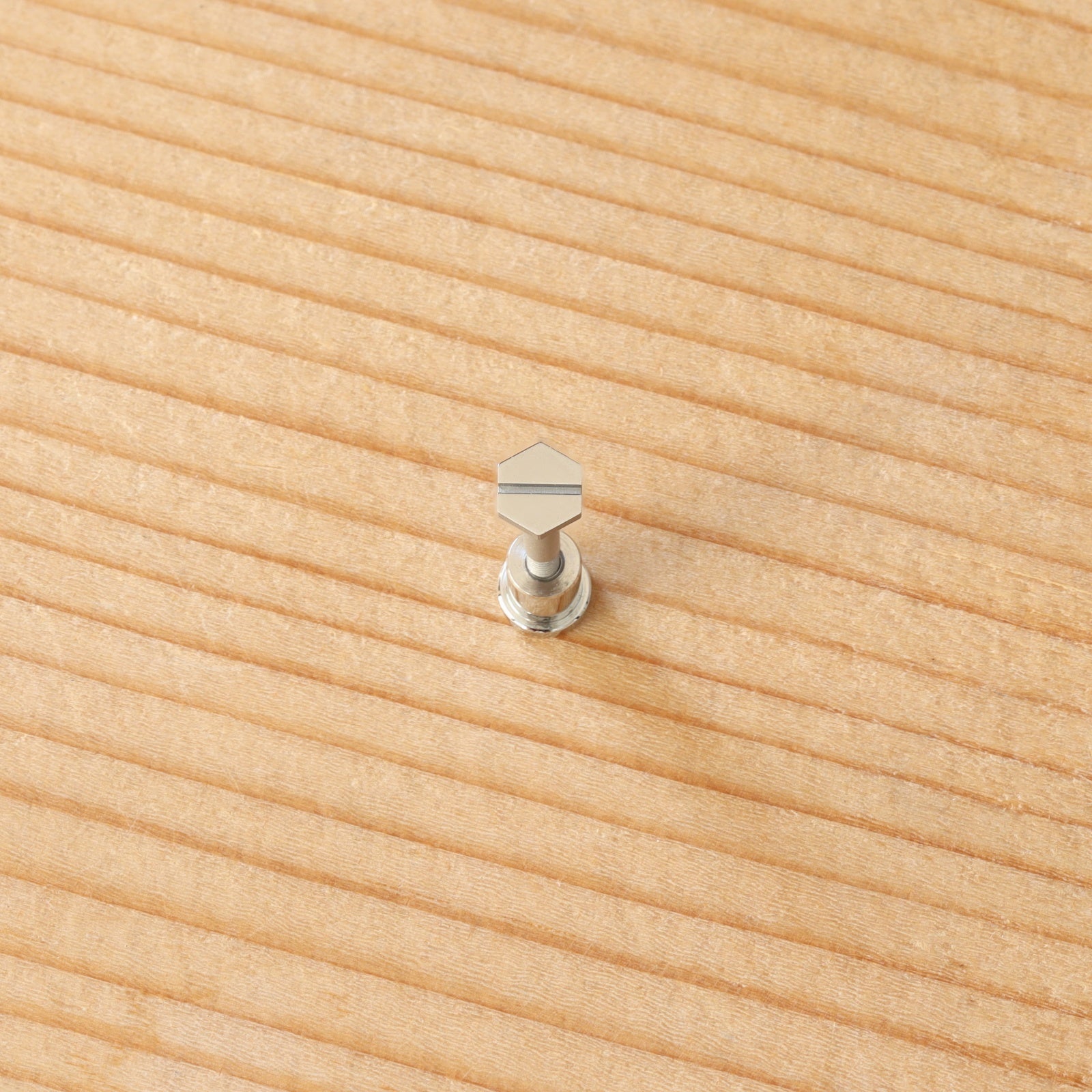 Watch Bezel Case Screw for Audemars Piguet 15720 AP Royal Oak Offshore Diver 42mm Watch