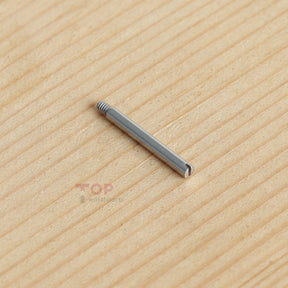 Watch Steel Bracelet Buckle Screw Tube for Rolex Datejust 41mm Watch Band Link Pin