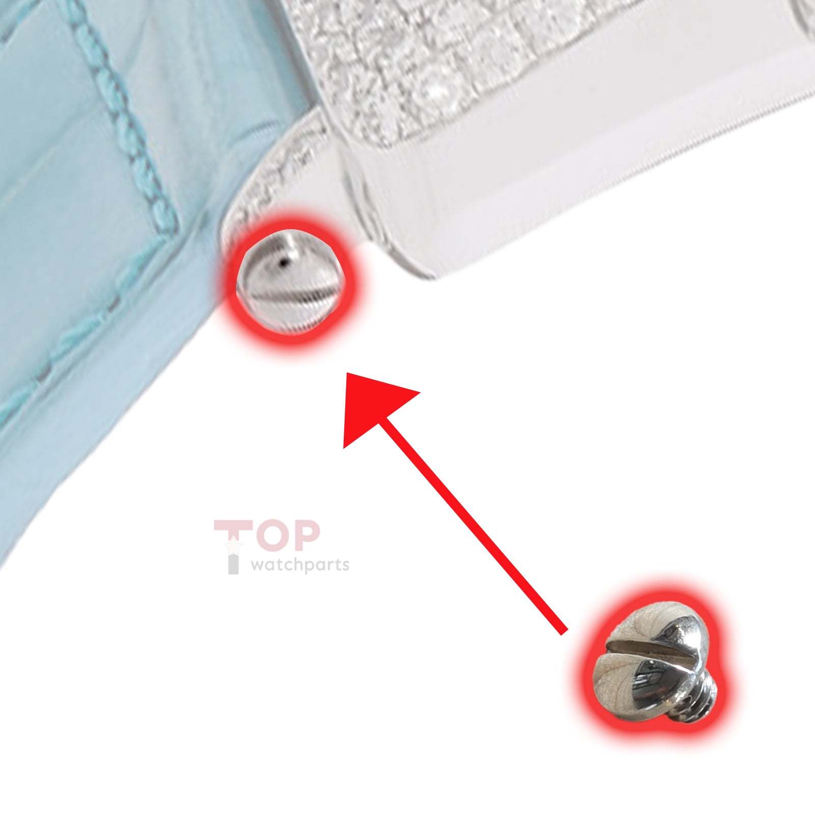 Watch Strap Screw for Franck Muller FM 6002/950/952/902 Watch Band