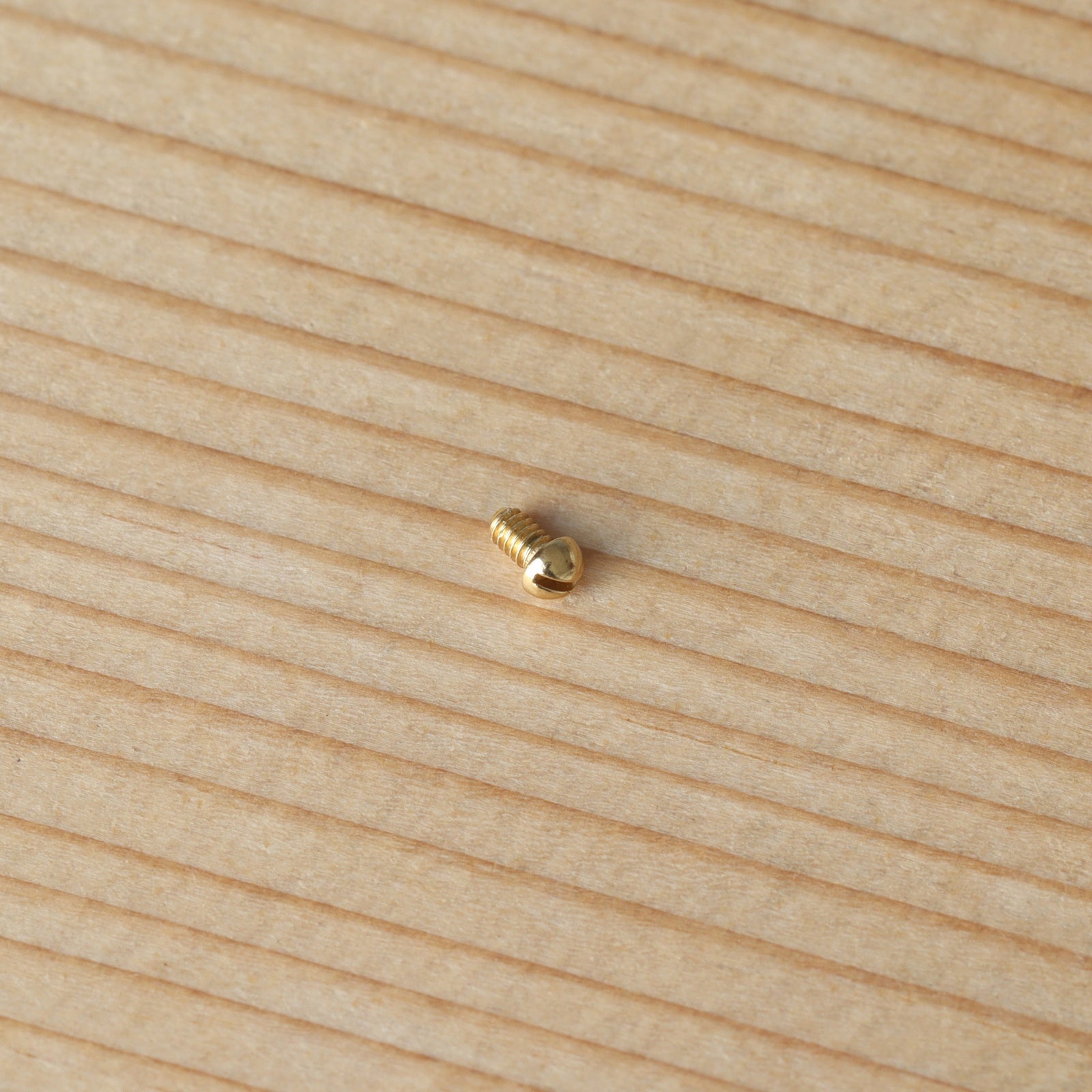 Watch Bezel Screw for Breitling Chronomat B13050/E13360 39mm Watch