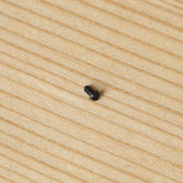 Watch Bezel Screw for Breitling Chronomat B13050/E13360 39mm Watch