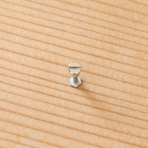 Watch Bezel Case Screw for Audemars Piguet 15720 AP Royal Oak Offshore Diver 42mm Watch