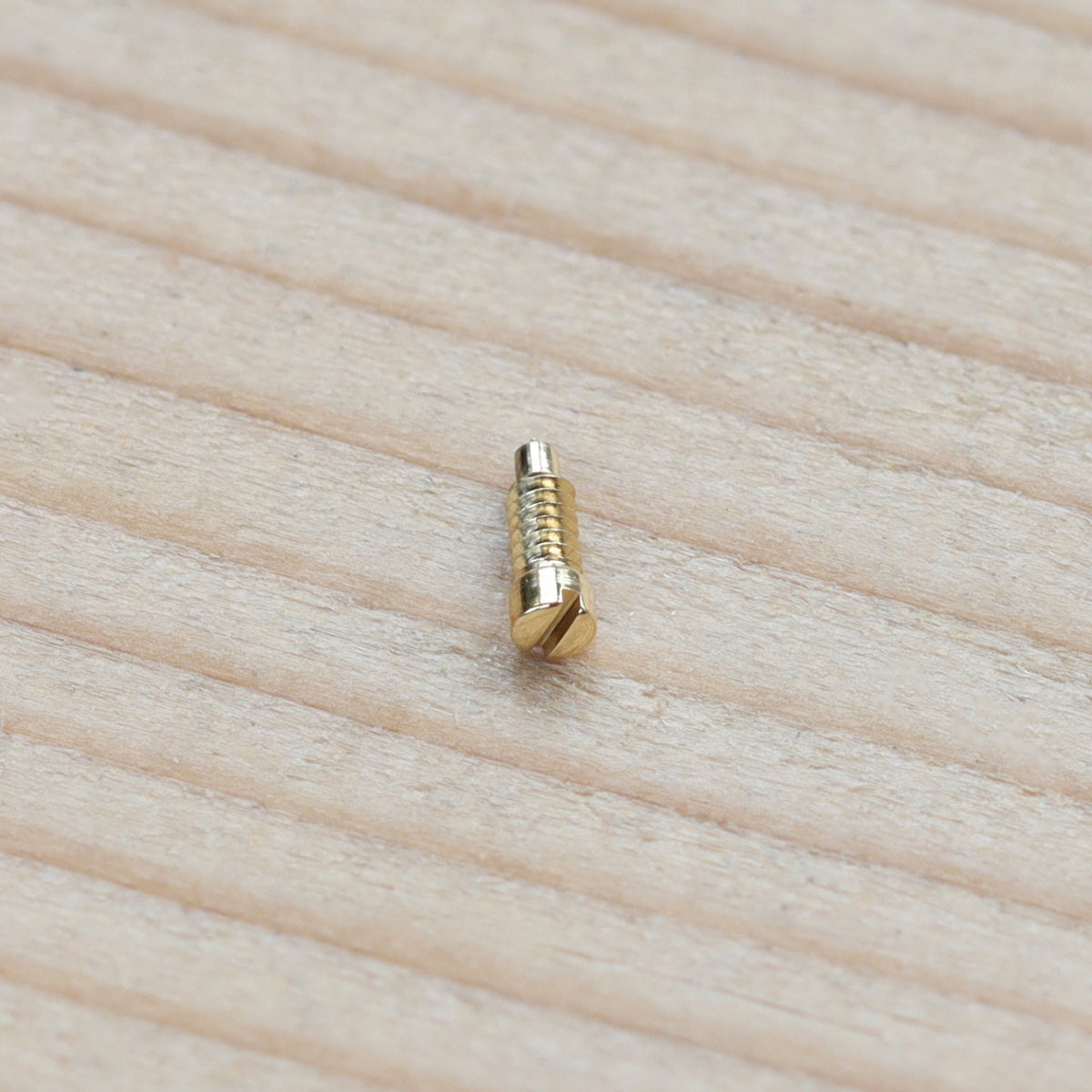 Case Back Screw for Cartier Tank 925 Vintage Watch