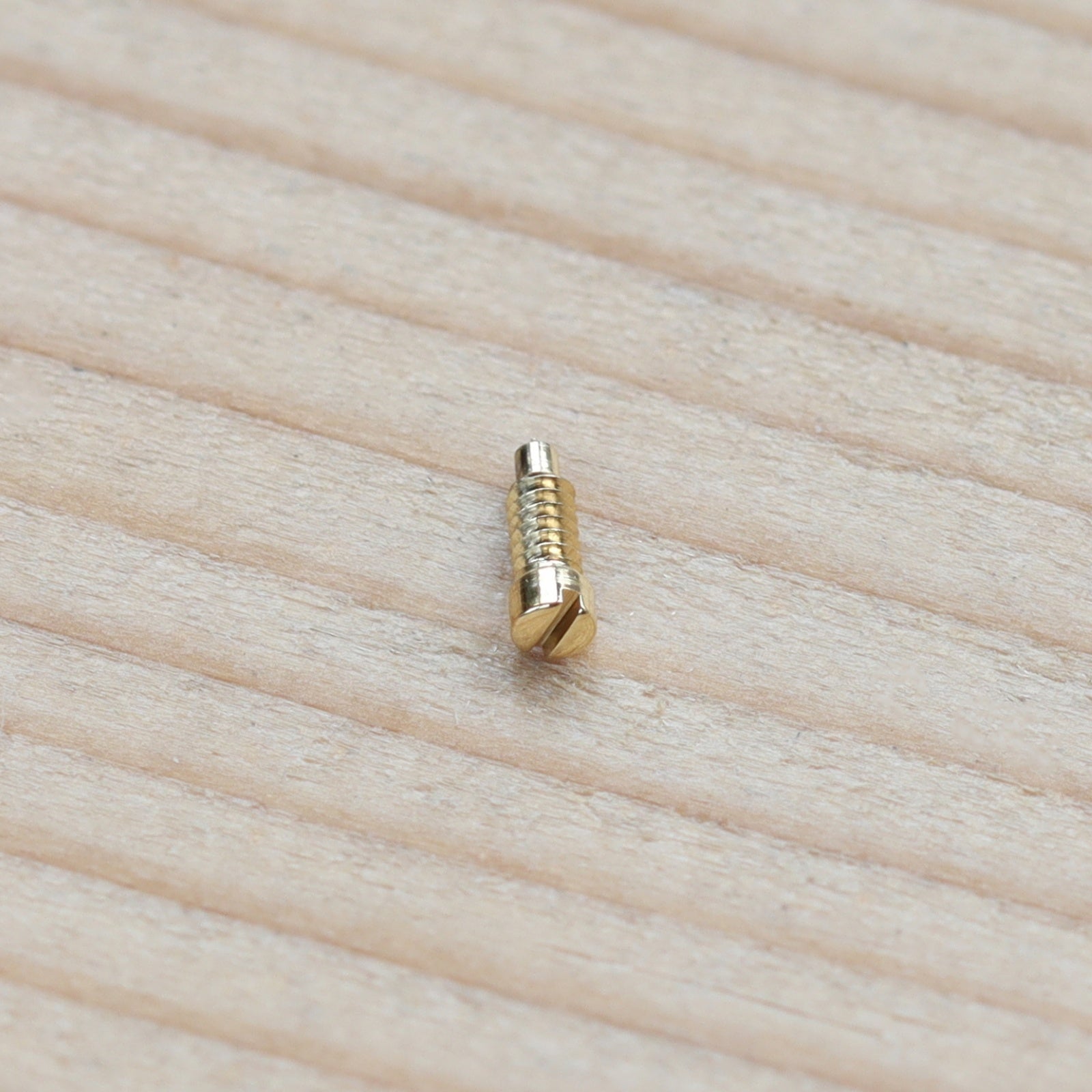 Case Back Screw for Cartier Tank 925 Vintage Watch